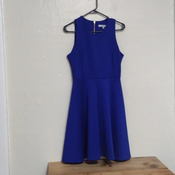 Milly Blue Fit & Flare Sleeveless Dress Exposed Goldtone Back Zip Size 4 - Picture 10 of 11